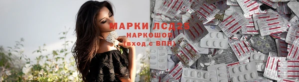 стафф Аркадак