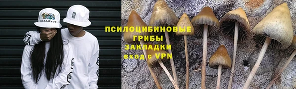 mdpv Армянск